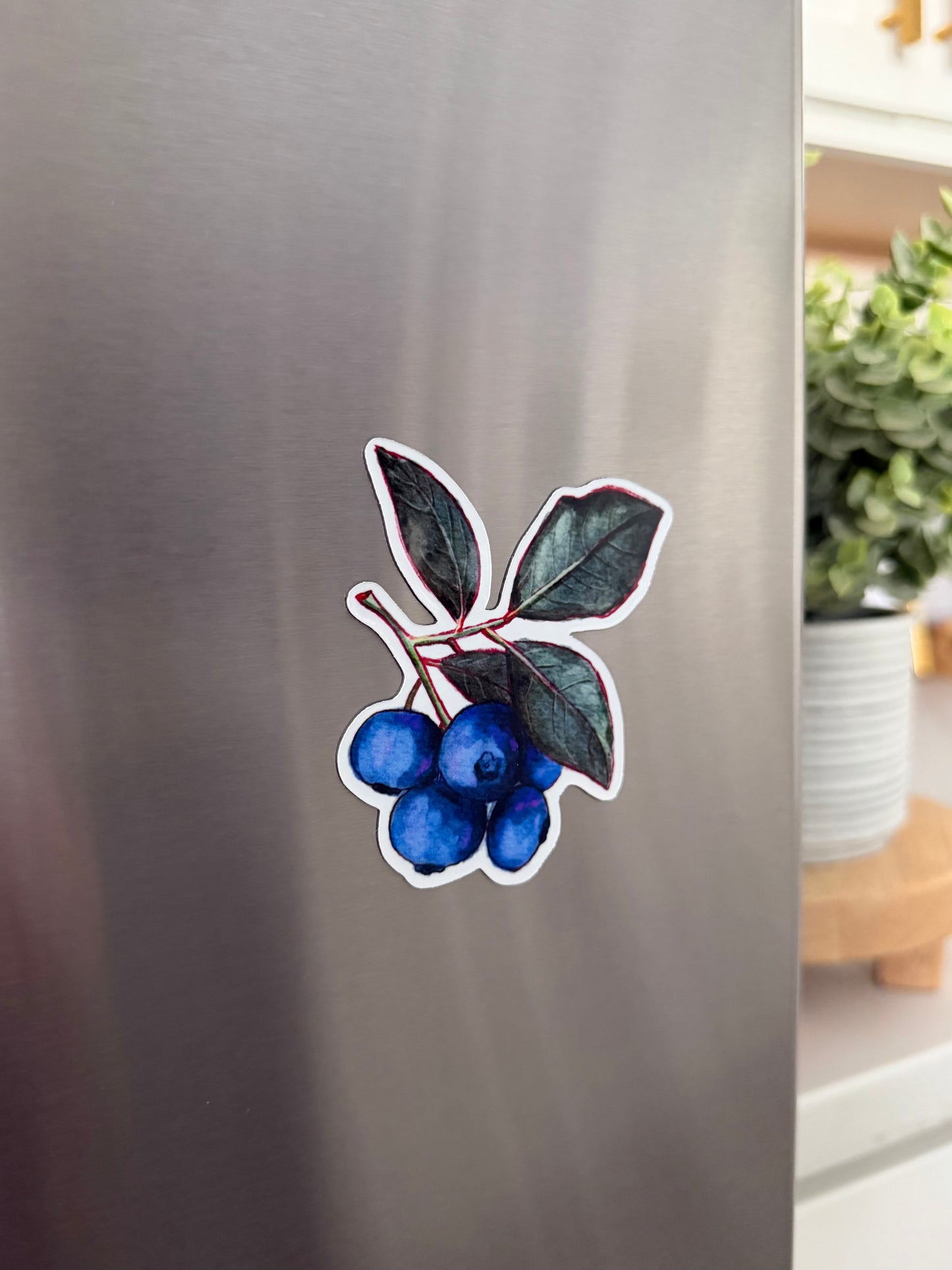 Blueberry Magnet