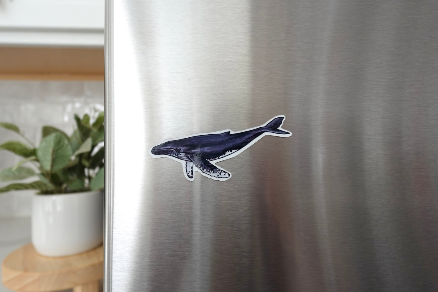 Whale Magnet