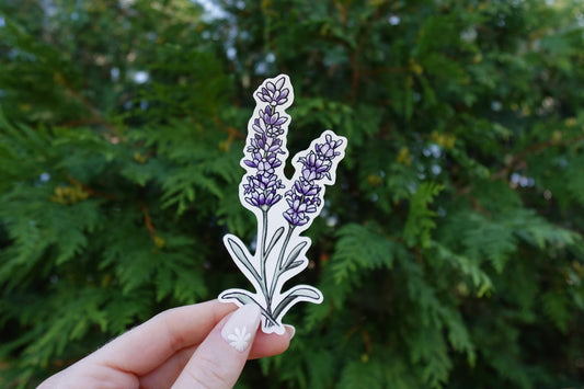 Lavender Sticker