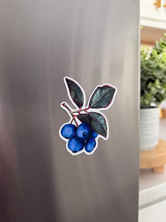 Blueberry Magnet