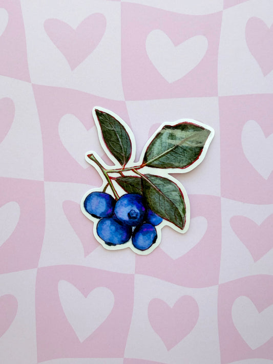 Blueberry Sticker